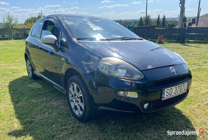 Używany 2012 Fiat Punto Hatchback | 12 000 zł (Uczciwa cena) - Obraz 1/4