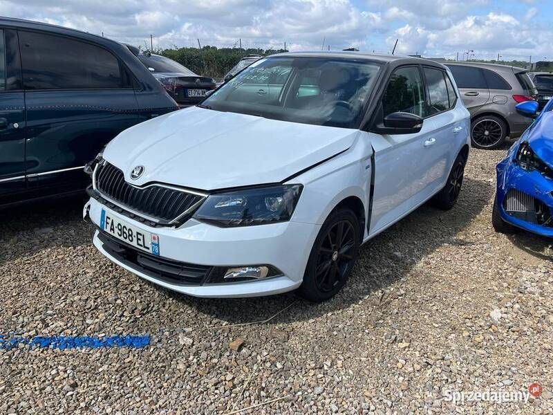 Biały Używany 2018 Skoda Fabia Clever Hatchback | 24 800 zł - Obraz 1/4