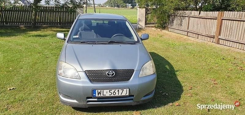 Szary Używany 2002 Toyota Corolla Hatchback | 5500 zł (Uczciwa cena) - Obraz 1/3