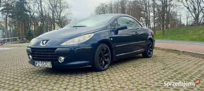 Grafitowy Używany 2008 Peugeot 307 CC Kabriolet | 9999 zł - Obraz 1/4