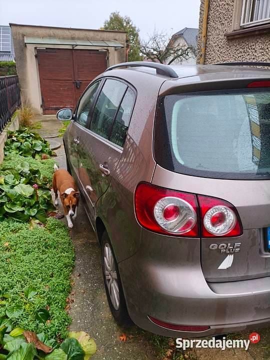 Używany 2010 VW Golf Plus Cross Minivan | 18 000 zł (Dobra cena) - Obraz 1/4