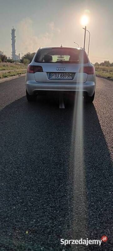 Obraz 4/4