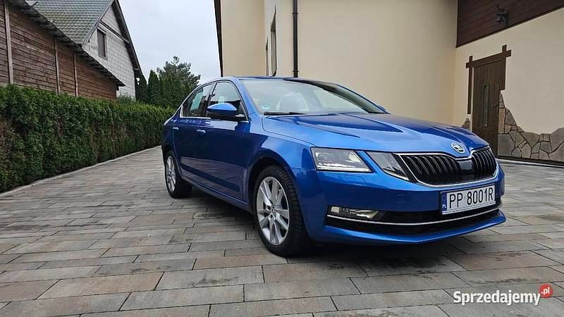 Używany 2017 Skoda Octavia | 48 000 zł (Uczciwa cena) - Obraz 1/4