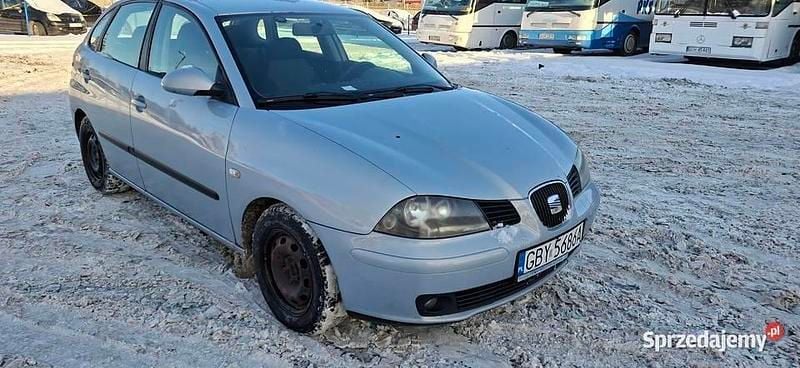 Używany Seat Ibiza 2004 Hatchback