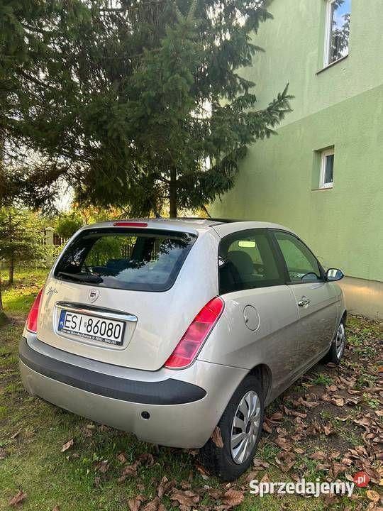Obraz 4
