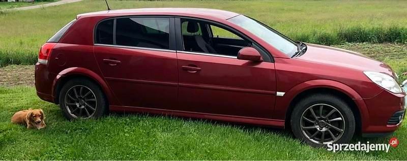 Czerwony Używany 2006 Opel Signum Hatchback | 18 500 zł (Drogi) - Obraz 1/4