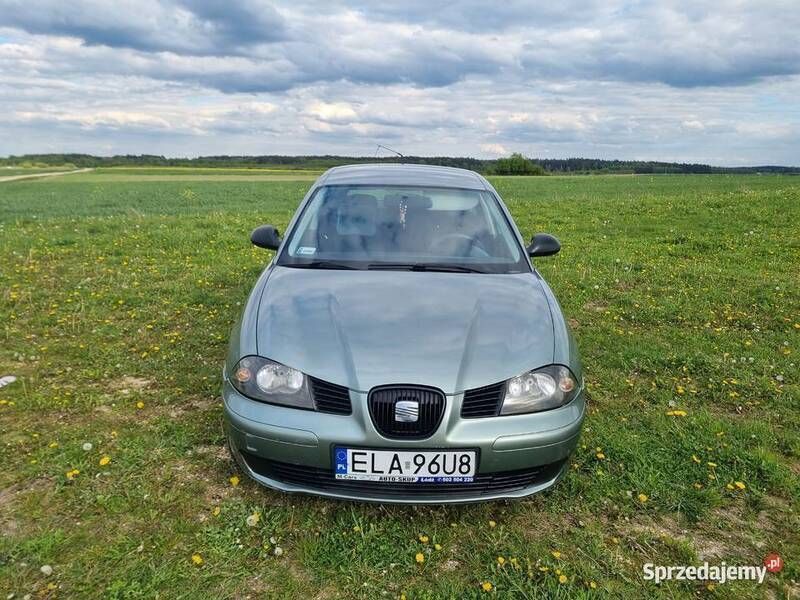 Używany Seat Ibiza 2004 Hatchback