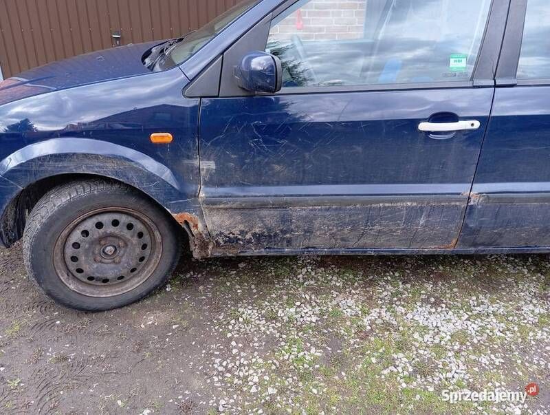 Używany Ford Fusion 2001