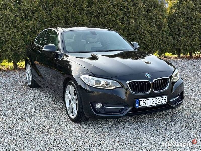 Używany 2014 BMW 220 Comfort Edition | 51 900 zł (Uczciwa cena) - Obraz 1/4