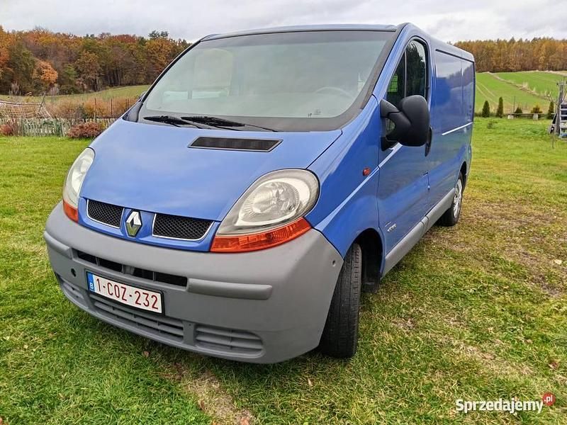 Używany 2005 Renault Trafic Van | 19 100 zł (Dobra cena) - Obraz 1/4