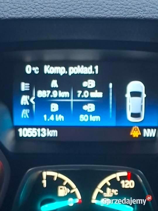 Używany Ford Kuga 2019 SUV