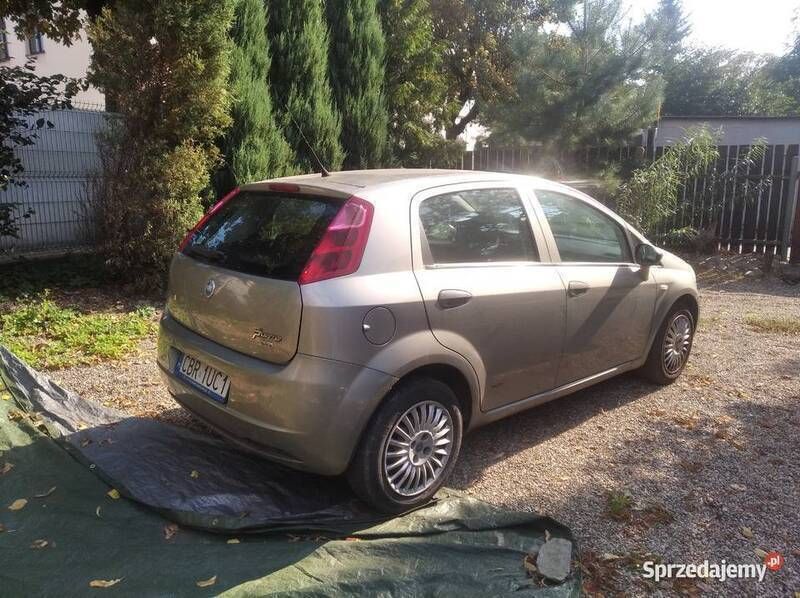 Obraz 3/3