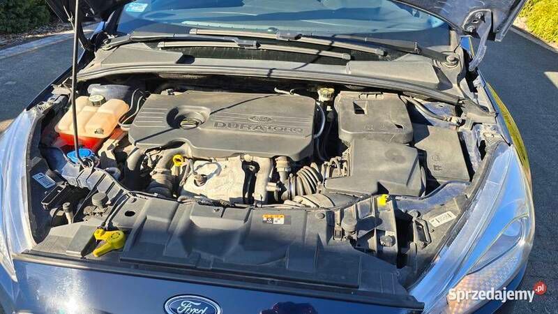 Używany Ford Focus 2016 Granatowy Kombi