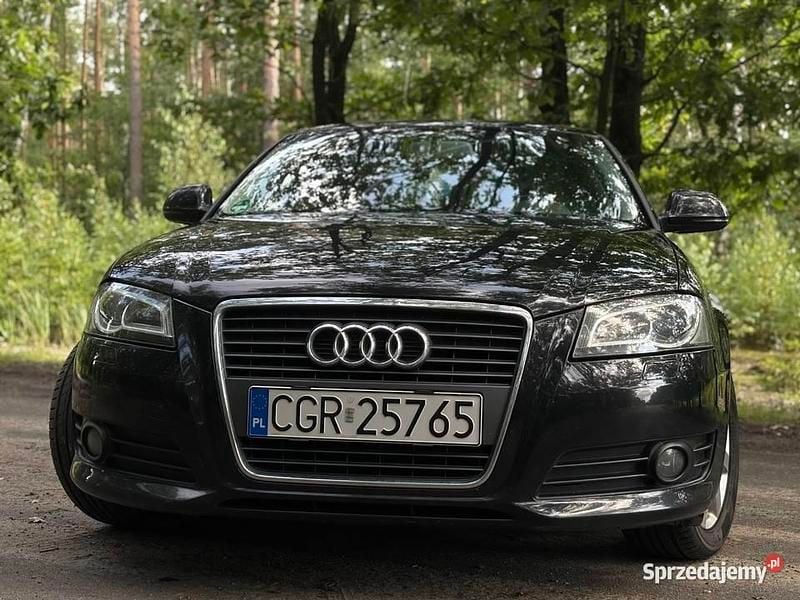 Używany 2010 Audi A3 | 22 500 zł (Uczciwa cena) - Obraz 1/4