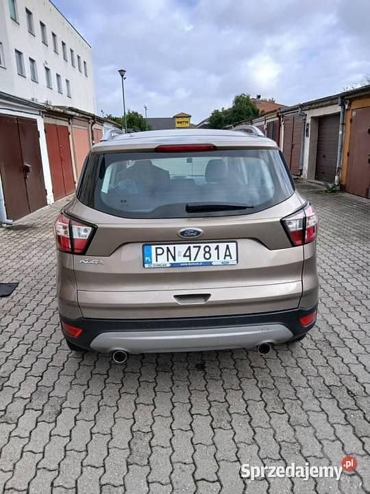 Używany Ford Kuga 2019 Beżowy SUV