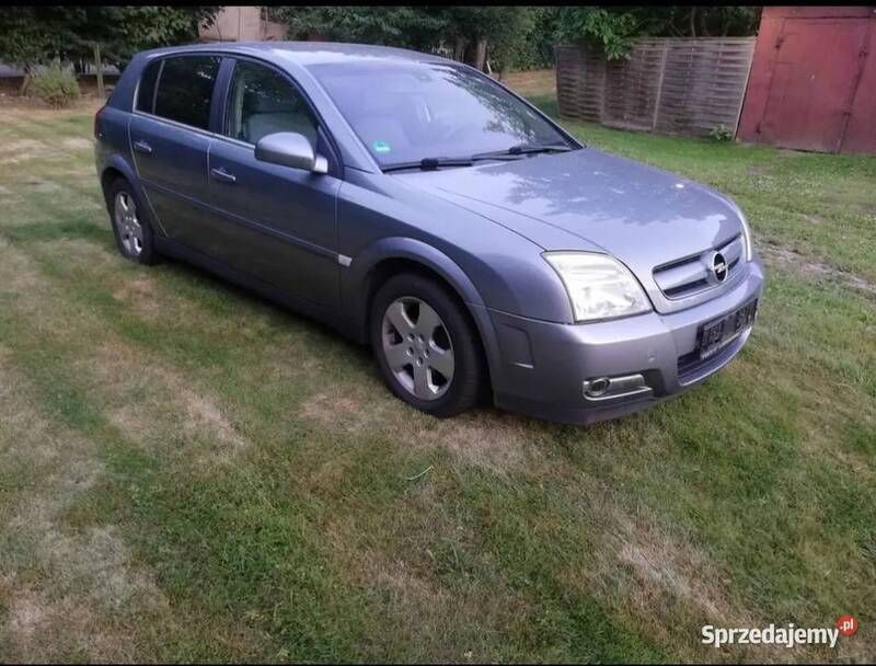 Używany 2004 Opel Signum Kombi | 3200 zł - Obraz 1/4
