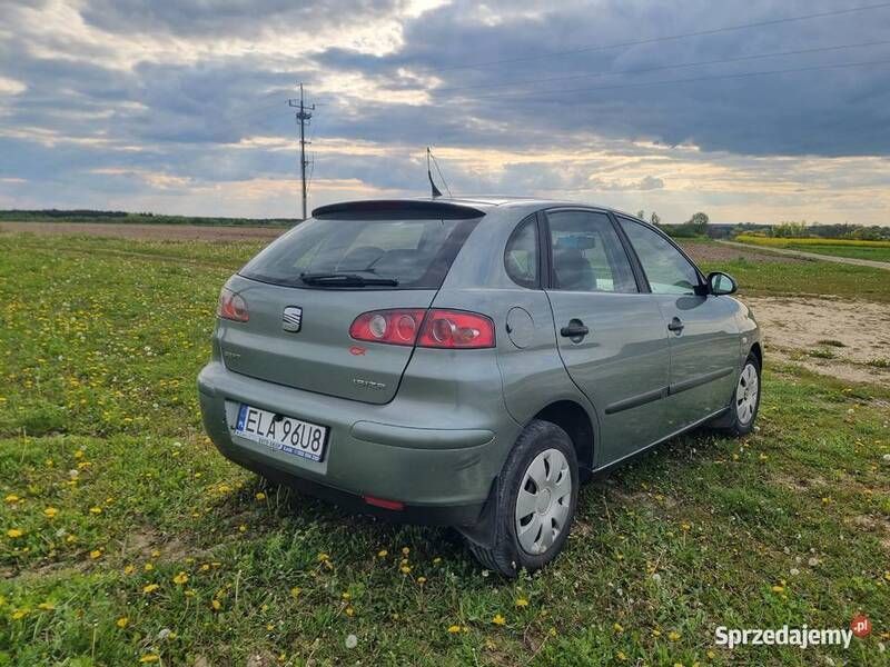 Używany Seat Ibiza 2004 Hatchback