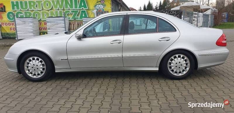 Obraz 2/4