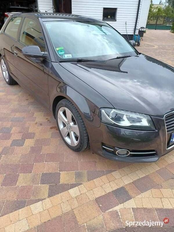 Używany Audi A3 Ambition 140 KM (102 kW) 2011 Hatchback