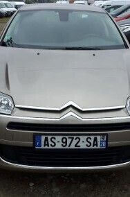 Obraz 2/4