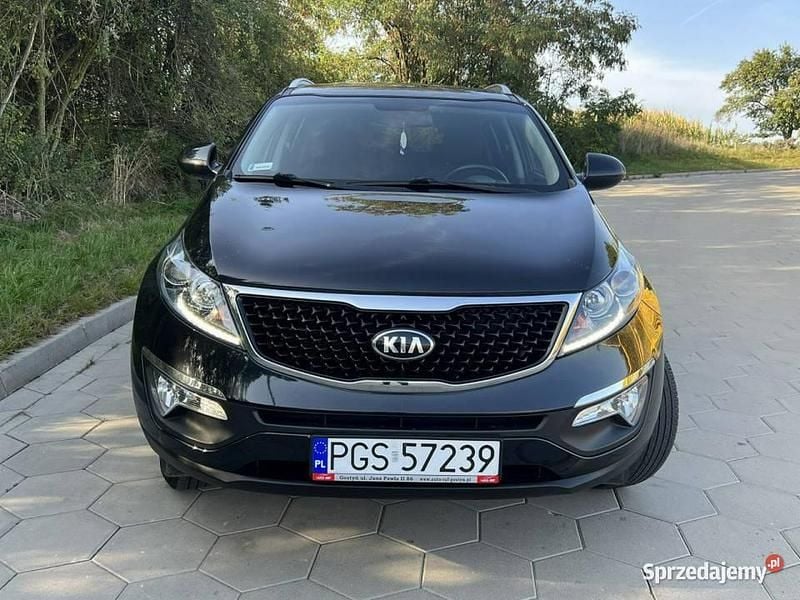 Czarny Używany 2016 Kia Sportage 2 SUV | 52 999 zł (Uczciwa cena) - Obraz 1/4