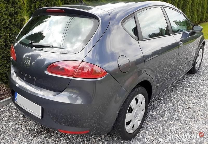 Szary Używany 2006 Seat Leon Hatchback | 11 300 zł (Dość drogi) - Obraz 1/4
