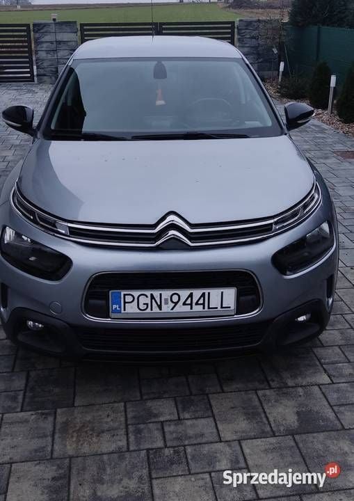 Szary Używany 2019 Citroën C4 Cactus Hatchback | 38 000 zł (Dobra cena) - Obraz 1/4