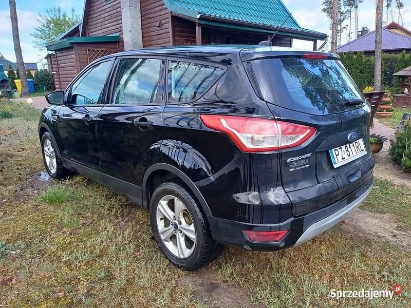 Używany Ford Escape 2016 SUV