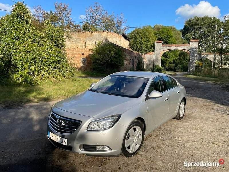 Srebrny Używany 2010 Opel Insignia Hatchback | 21 000 zł (Dobra cena) - Obraz 1/4
