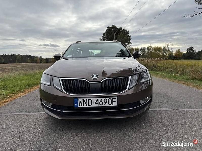 Brązowy Używany 2019 Skoda Octavia Kombi | 58 900 zł - Obraz 1/4
