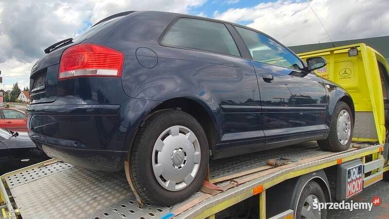 Niebieski Używany 2004 Audi A3 Hatchback | 4000 zł - Obraz 1/4