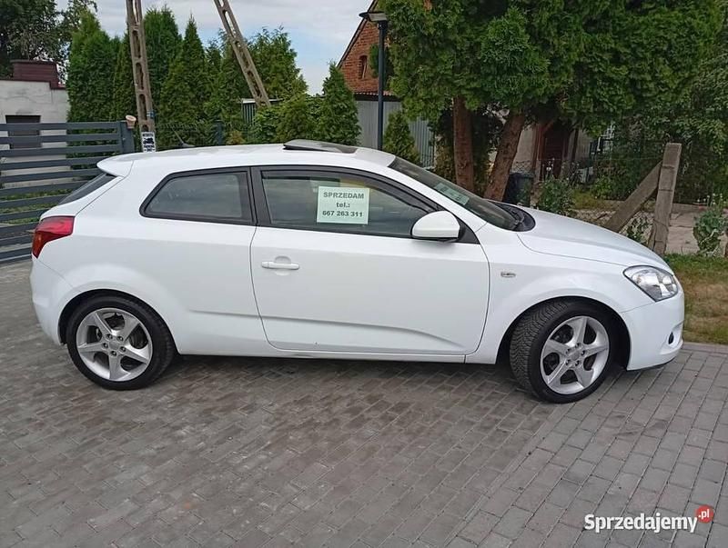 Używany 2009 Kia Ceed | 15 800 zł (Drogi) - Obraz 1/4