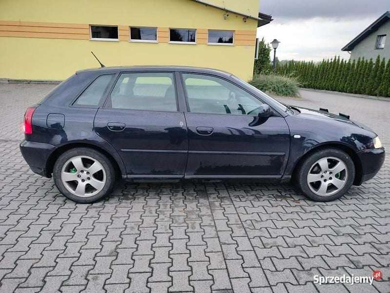 Granatowy Używany 2003 Audi A3 Hatchback | 4900 zł (Super Cena) - Obraz 1/4