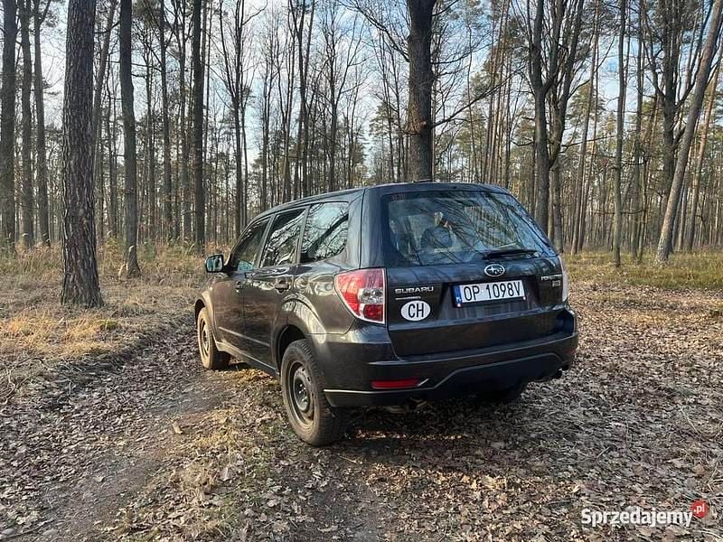 Używany 2012 Subaru Forester SUV | 34 400 zł (Dość drogi) - Obraz 1/4