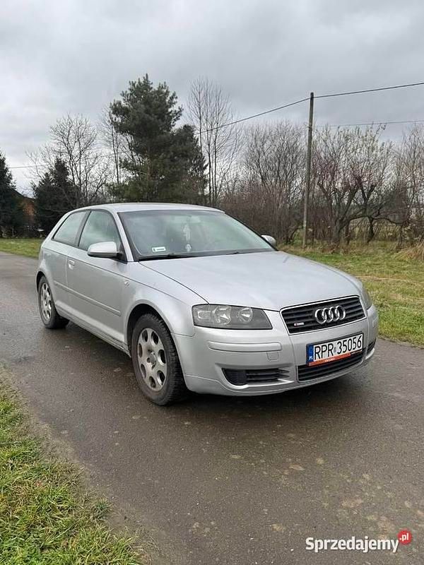 Używany 2003 Audi A3 | 8500 zł (Uczciwa cena) - Obraz 1/4