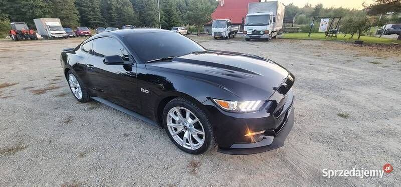 Używany 2014 Ford Mustang GT Coupe | 109 000 zł (Super Cena) - Obraz 1/4