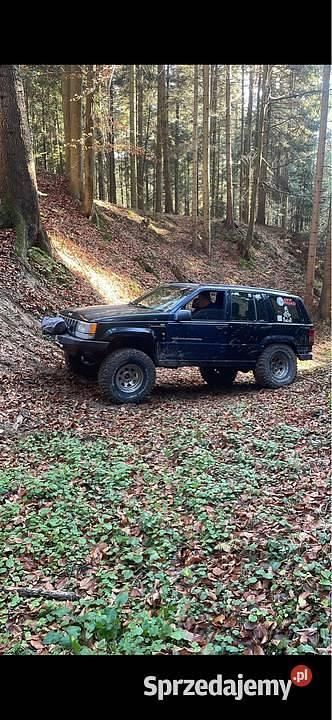 Granatowy Używany 1994 Jeep Grand Cherokee SUV | 11 700 zł - Obraz 1/4