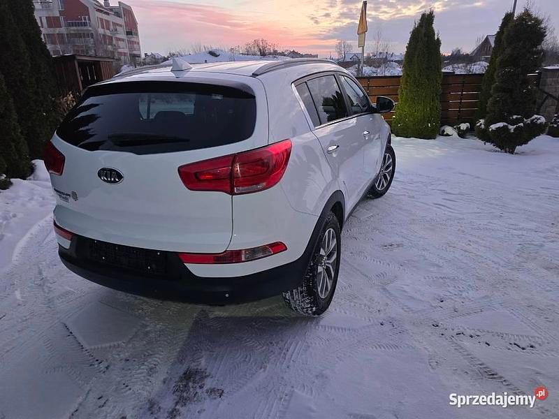 Używany Kia Sportage Vision 2015 Biały SUV
