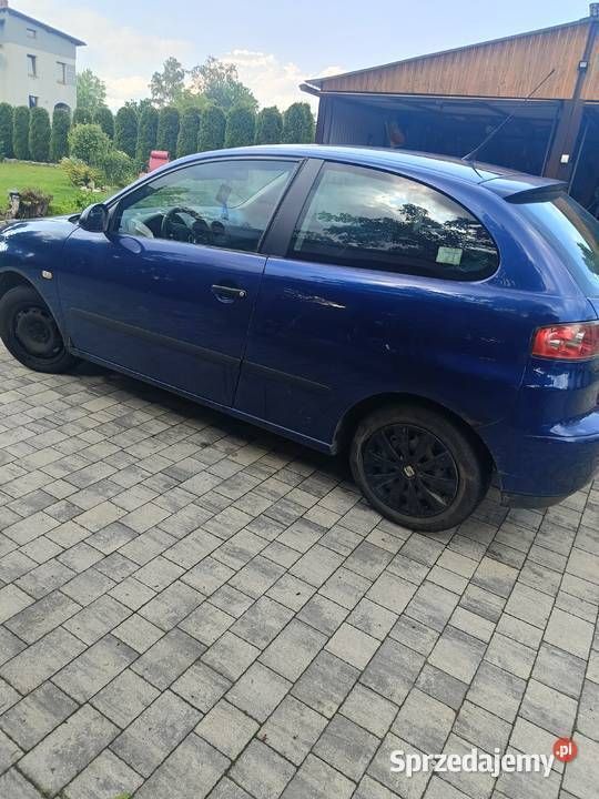 Obraz 3/3