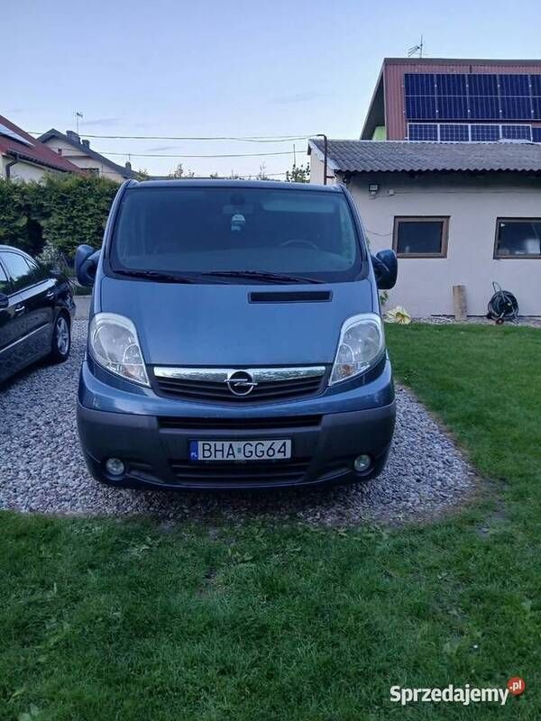 Niebieski Używany 2008 Opel Vivaro Van | 18 000 zł - Obraz 1/4