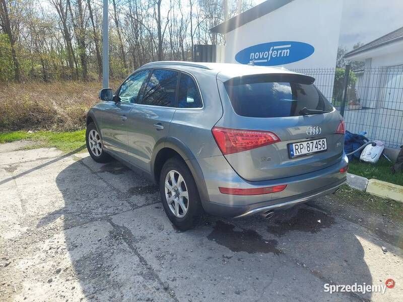 Obraz 3/4