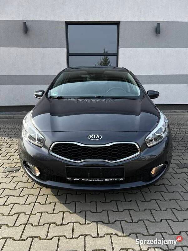 Używany 2015 Kia Ceed | 37 900 zł (Uczciwa cena) - Obraz 1/4
