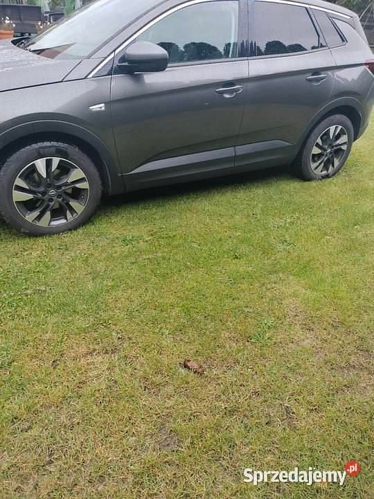 Używany 2018 Opel Grandland X SUV | 57 000 zł (Uczciwa cena) - Obraz 1/4