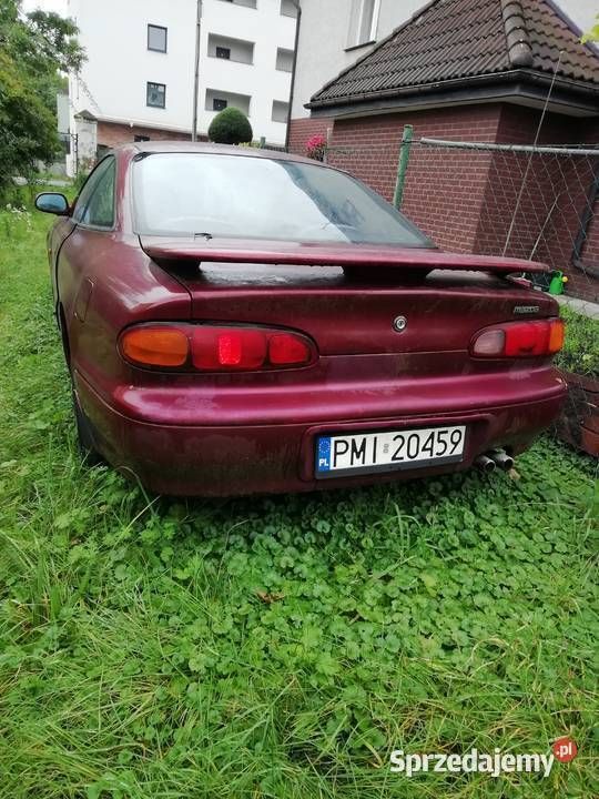 Obraz 4/4