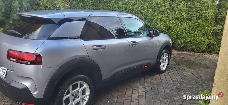 Używany Citroën C4 Cactus 2019 Hatchback