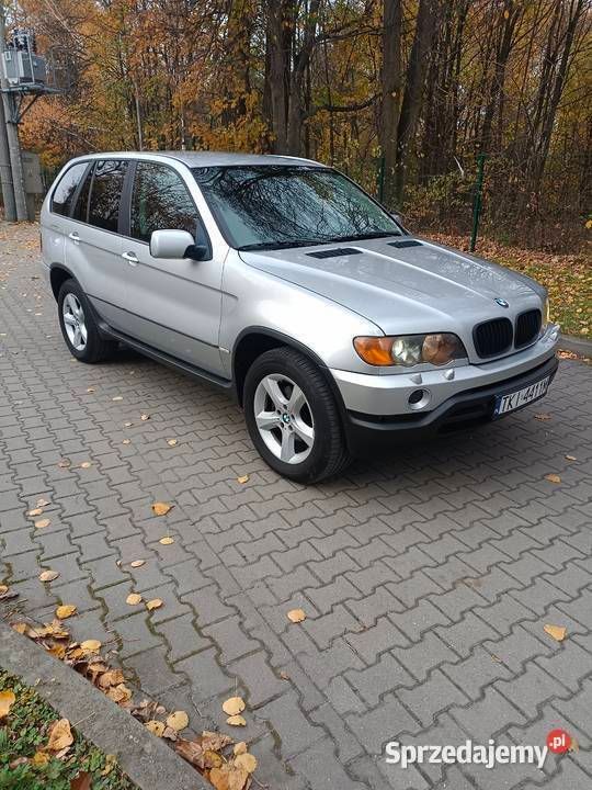 Używany 2003 BMW X5 SUV | 23 500 zł (Dość drogi) - Obraz 1/4