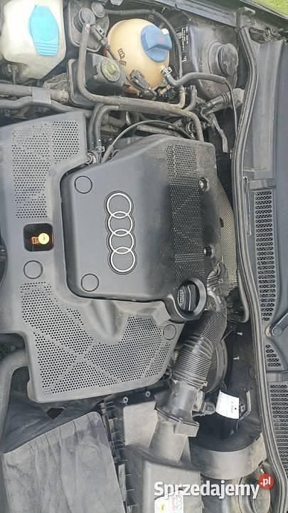 Używany 2001 Audi A3 | 3900 zł (Uczciwa cena) - Obraz 1/4