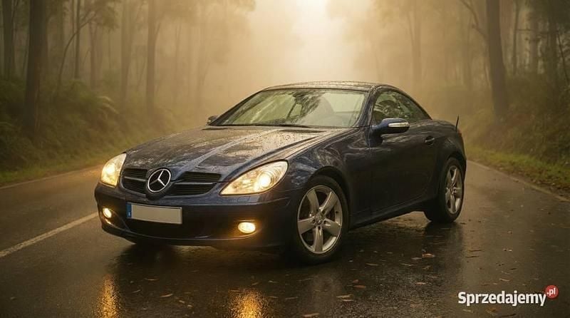 Używany 2008 Mercedes SLK200 Kabriolet | 39 999 zł - Obraz 1/4