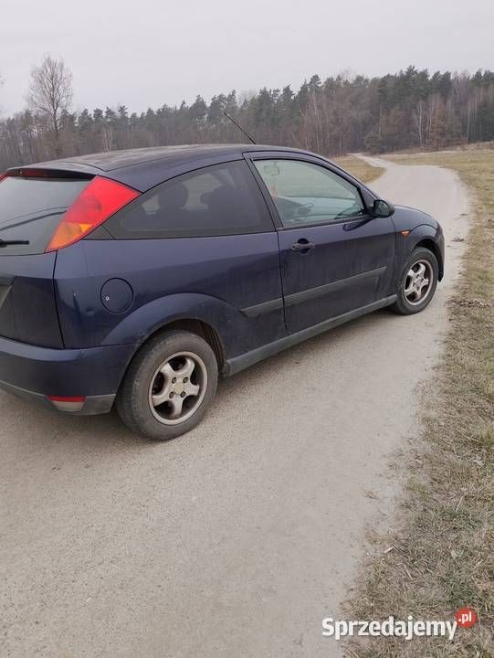 Granatowy Używany 1999 Ford Focus Hatchback | 2100 zł (Uczciwa cena) - Obraz 1/4