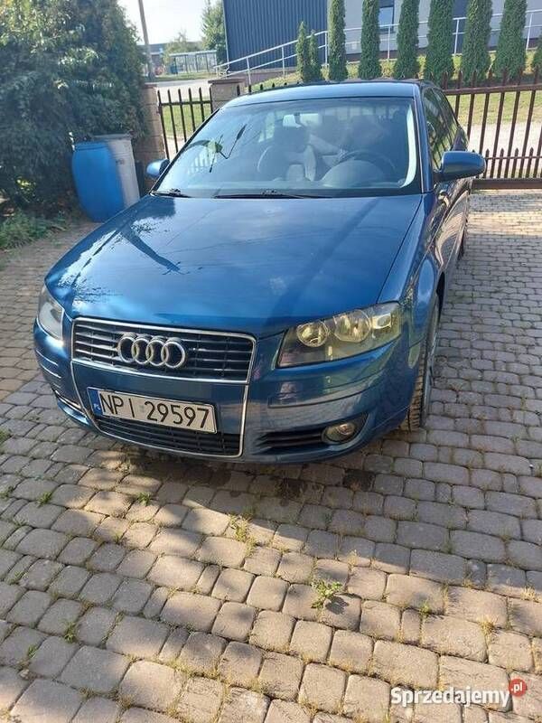 Niebieski Używany 2003 Audi A3 Hatchback | 11 500 zł (Dość drogi) - Obraz 1/4